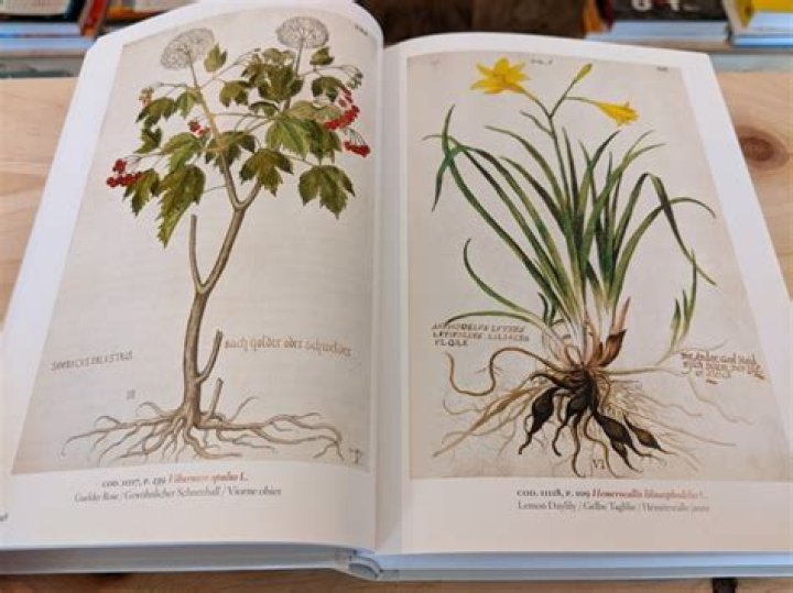 Unveiling The Botanical Masterpieces Of Delilah Ann Mollett