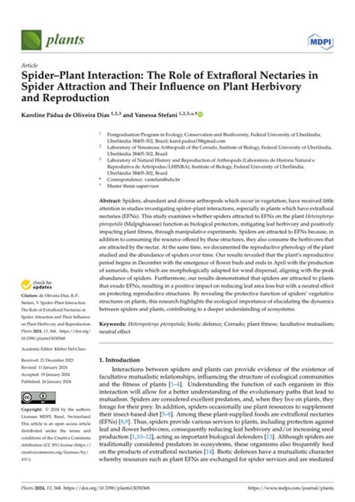 Unveiling The Secrets Of Spider Attraction